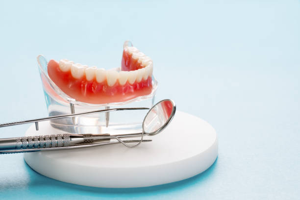Reliable Lakeland South, WA Holistic Dental Care Services Solutions